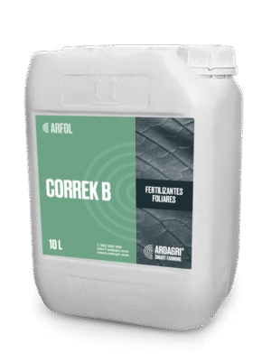 Correk B