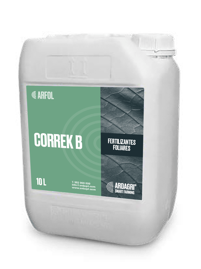 Correk B