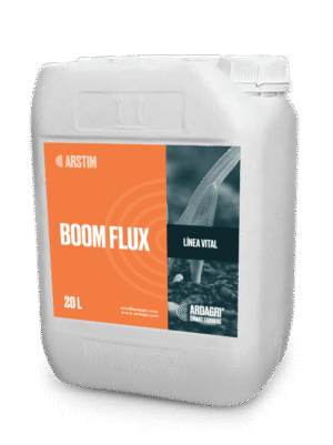Boom Flux