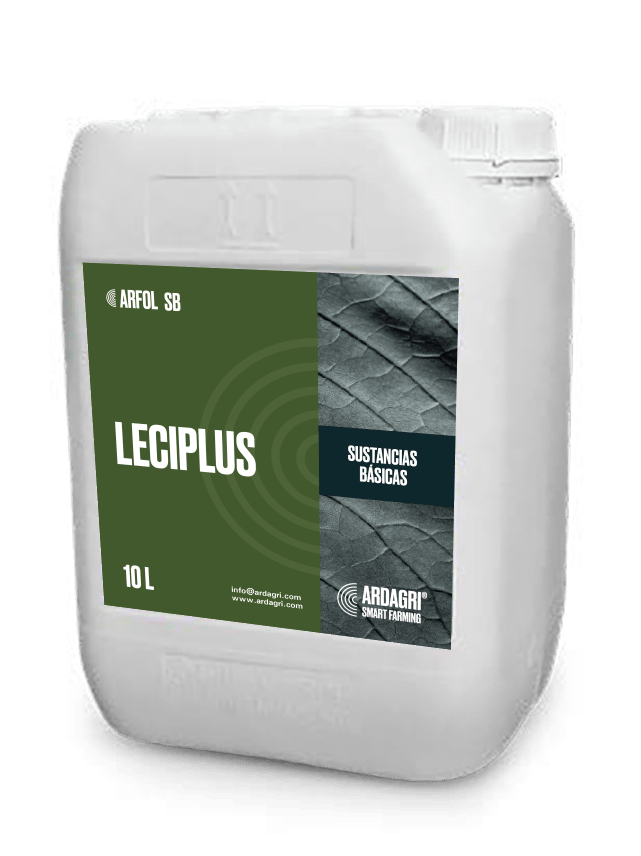 Leciplus