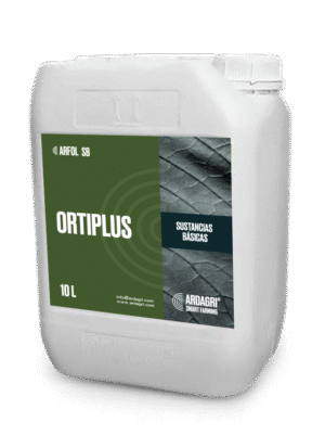 Ortiplus