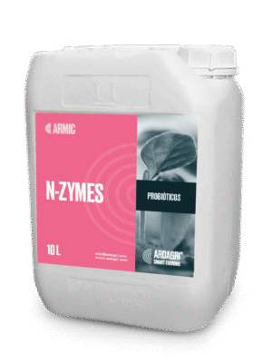 N-Zymes