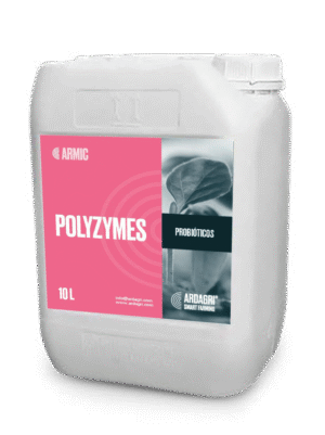 Polyzymes
