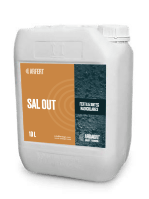 Sal Out