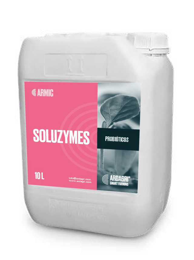 Soluzymes