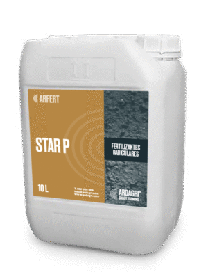 Star P